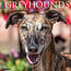 Willow Creek Calendario de Galgos 2025