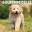 Willow Creek Goldendoodle Kalender 2025