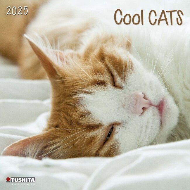 Calendario Cool Cats 2025