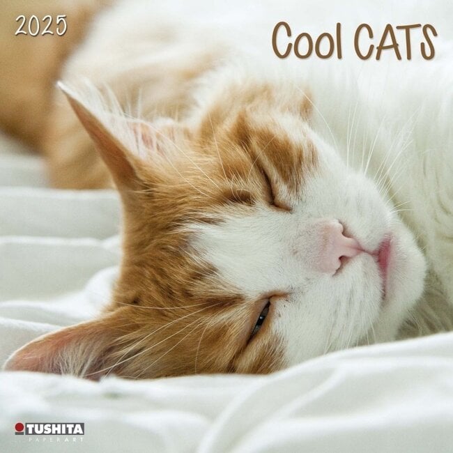 Cool Cats Calendar 2025