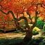 Japanese Garden Calendar 2025