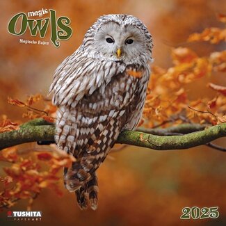 Tushita Magic Owls Calendar 2025