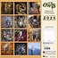 Magic Owls Calendar 2025