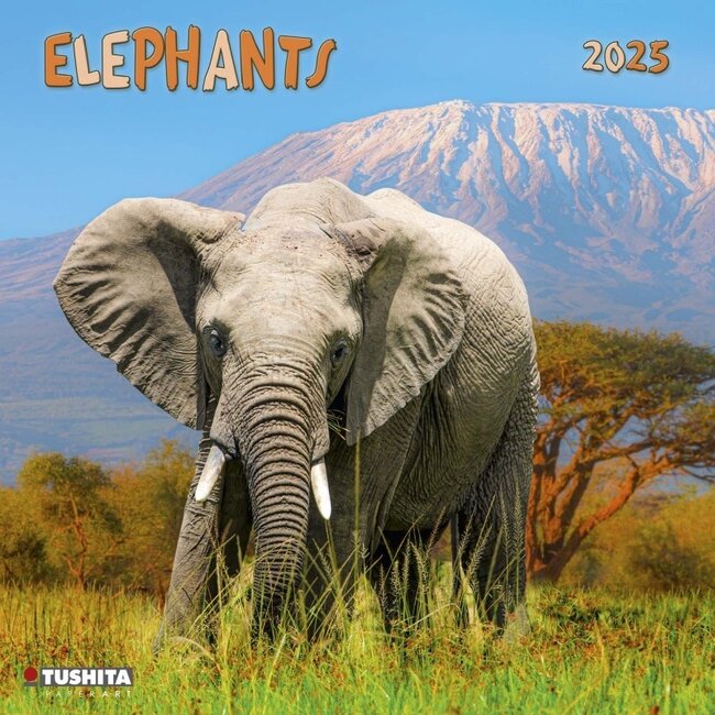 Familias de elefantes Calendario 2025