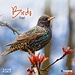 Tushita Calendario "Uccelli in giardino" 2025