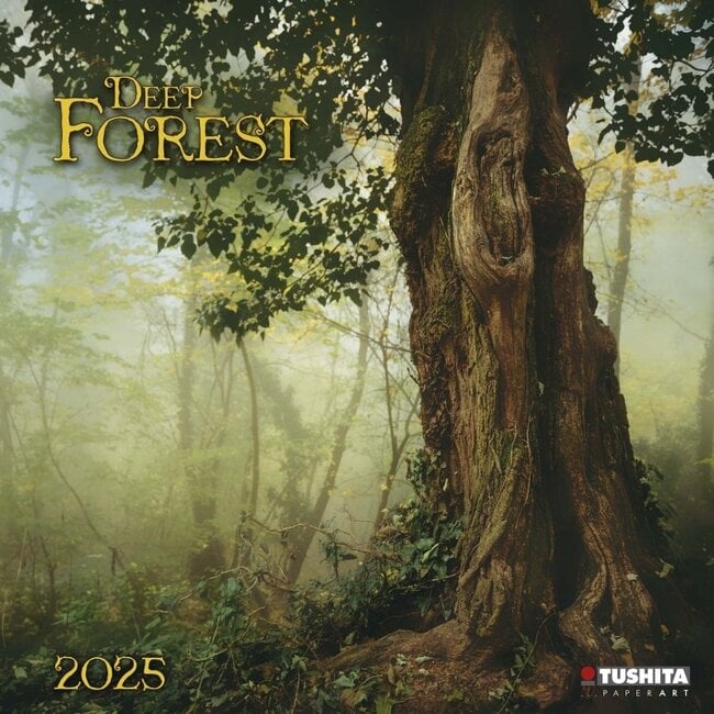 Calendario della foresta profonda 2025