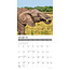 Elephant Calendar 2025