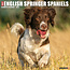 Calendario Springer Spaniel Inglés 2025