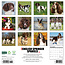 Calendario Springer Spaniel Inglés 2025