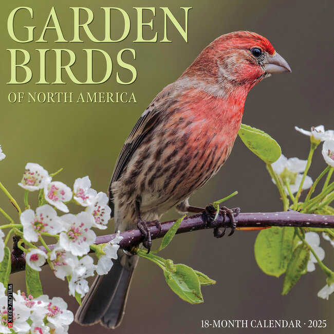 Willow Creek Gartenvögel Kalender 2025