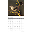 Calendario de aves de jardín 2025