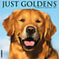 Golden Retriever Calendar 2025