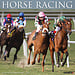 Willow Creek Horse Racing Calendar 2025