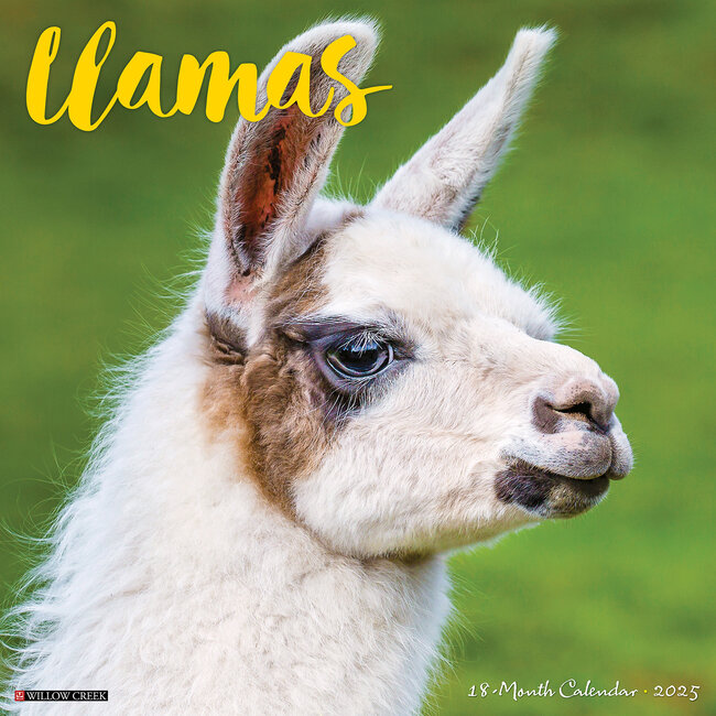 Llamas Calendar 2025
