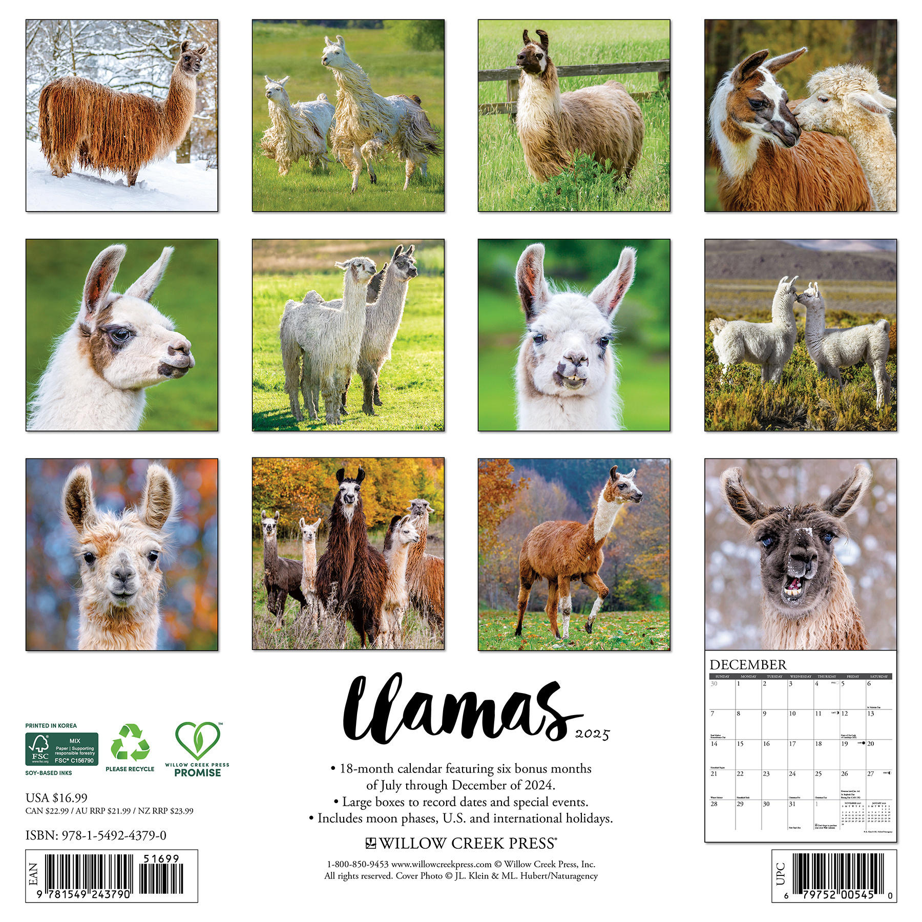 Buying Llamas Calendar 2025? Order online quickly and easily