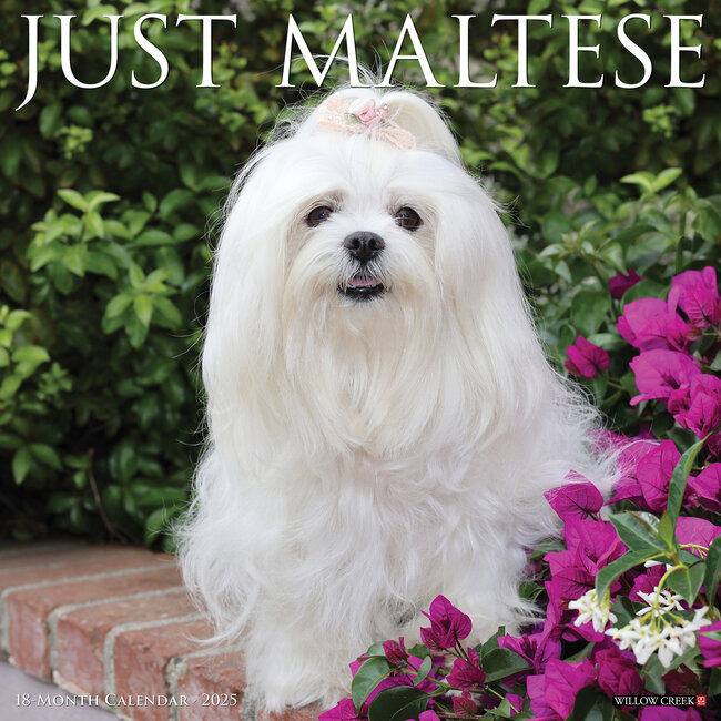 Maltese Calendar 2025