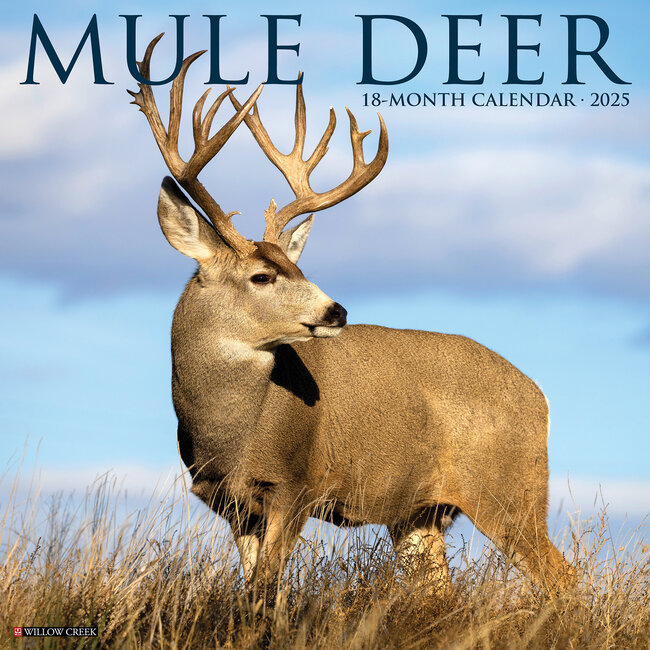 Calendrier du cerf mulet 2025