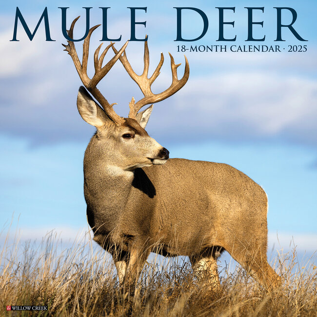 Mule Deer Calendar 2025