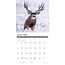 Calendrier du cerf mulet 2025