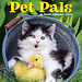 Willow Creek Animal Friends Calendar 2025