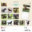 Calendario Labrador Retriever Brown 2025