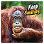 Calendrier "Keep Smiling" 2025