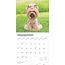 Calendario Yorkshire Terrier 2025