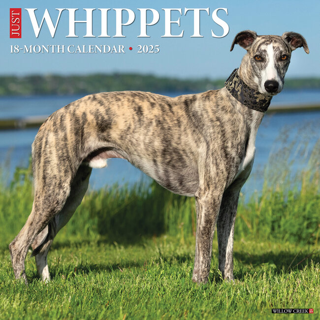 Willow Creek Calendrier Whippet 2025