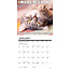 Cat-astrophe Kalender 2025 Mini