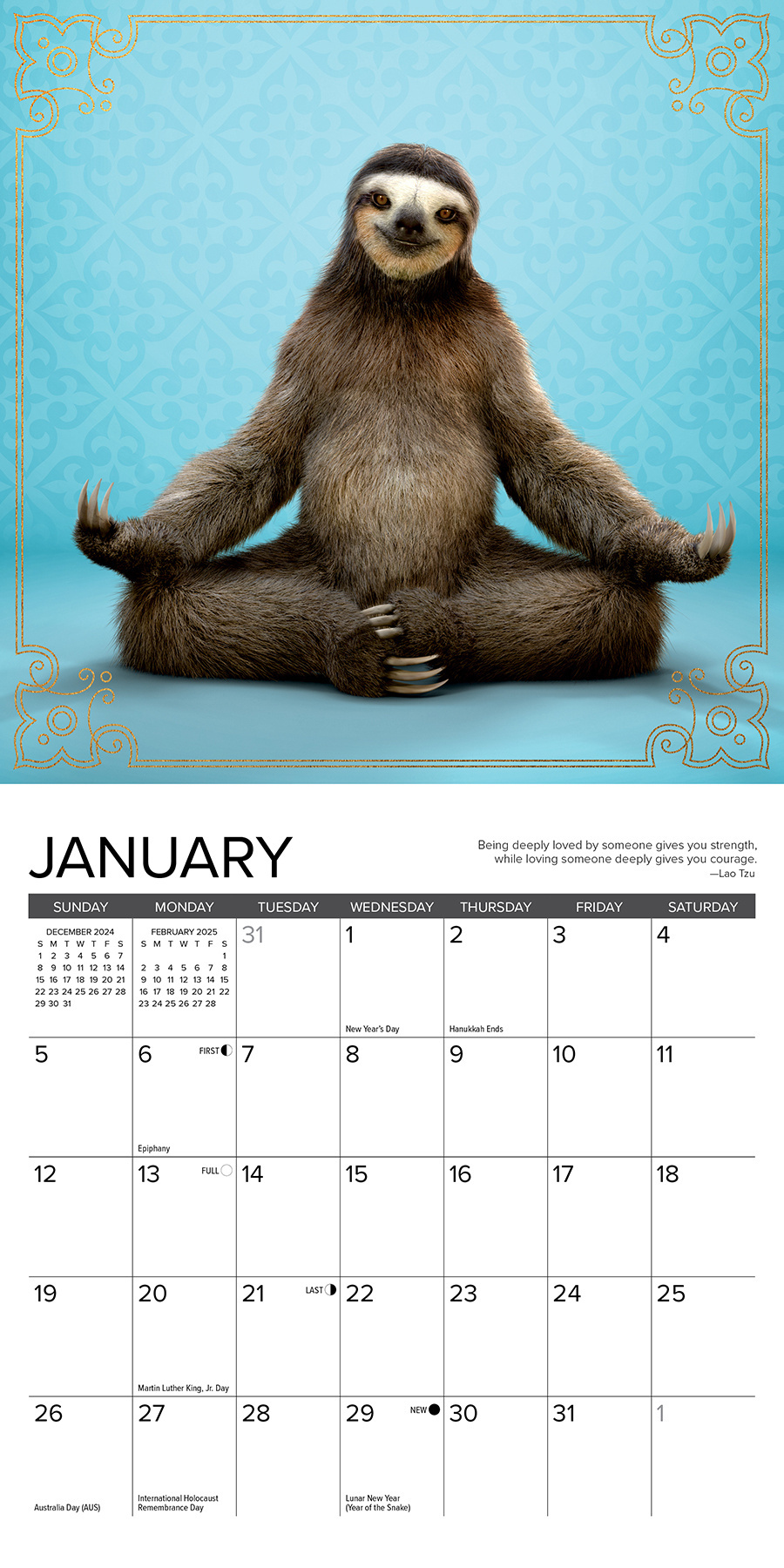 Acheter Sloth Yoga Calendar 2025 Mini ? Commande en ligne rapidement et