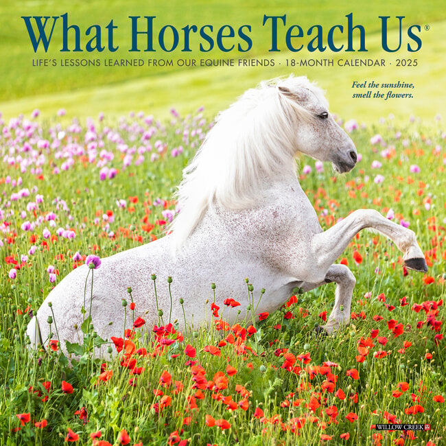 Ce que les chevaux nous apprennent Calendrier 2025 Mini