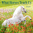 Willow Creek What Horses Teach Us Kalender 2025 Mini