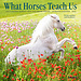 Willow Creek What Horses Teach Us Kalender 2025 Mini