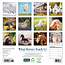 What Horses Teach Us Calendar 2025 Mini