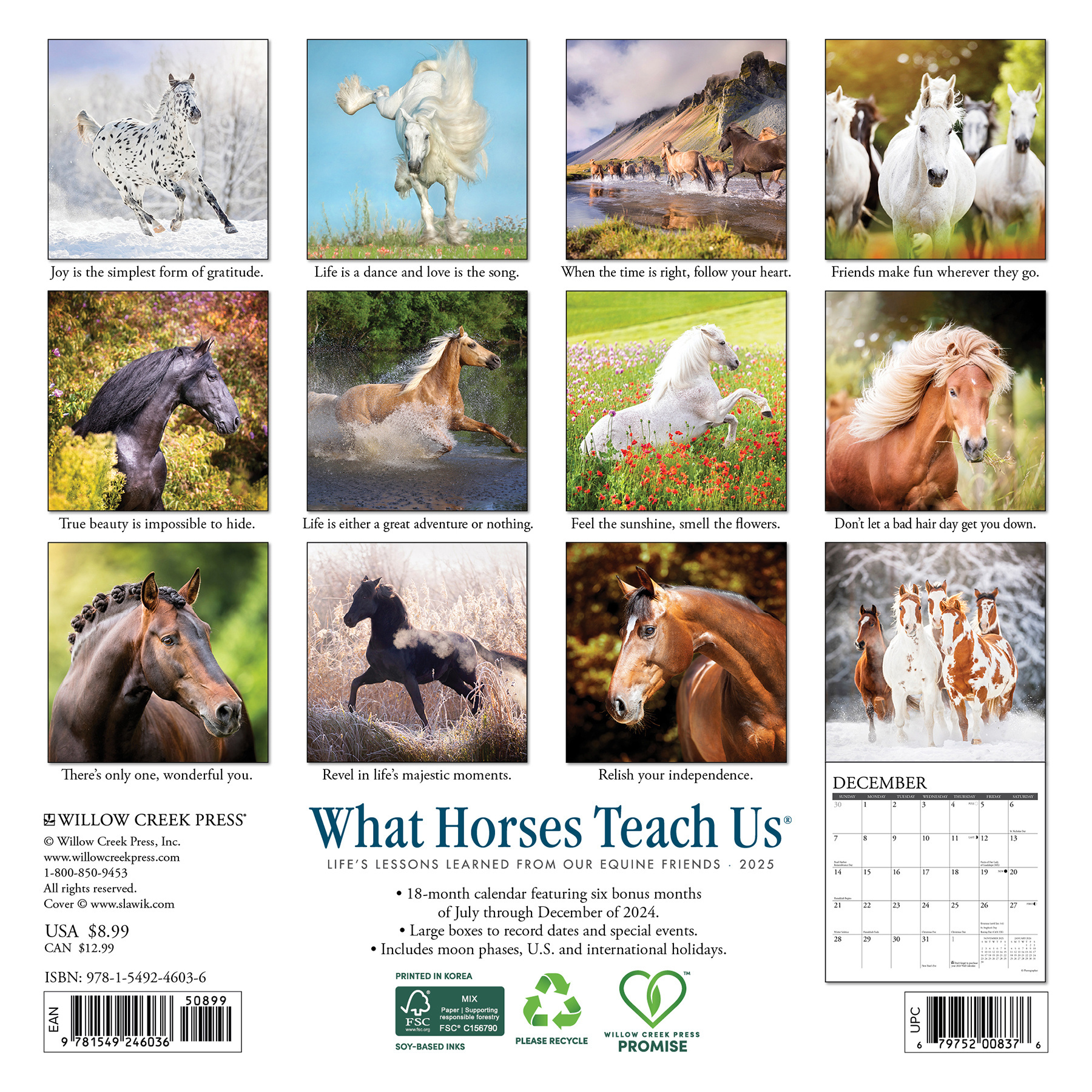 Buying What Horses Teach Us Calendar 2025 Mini? Simply order online