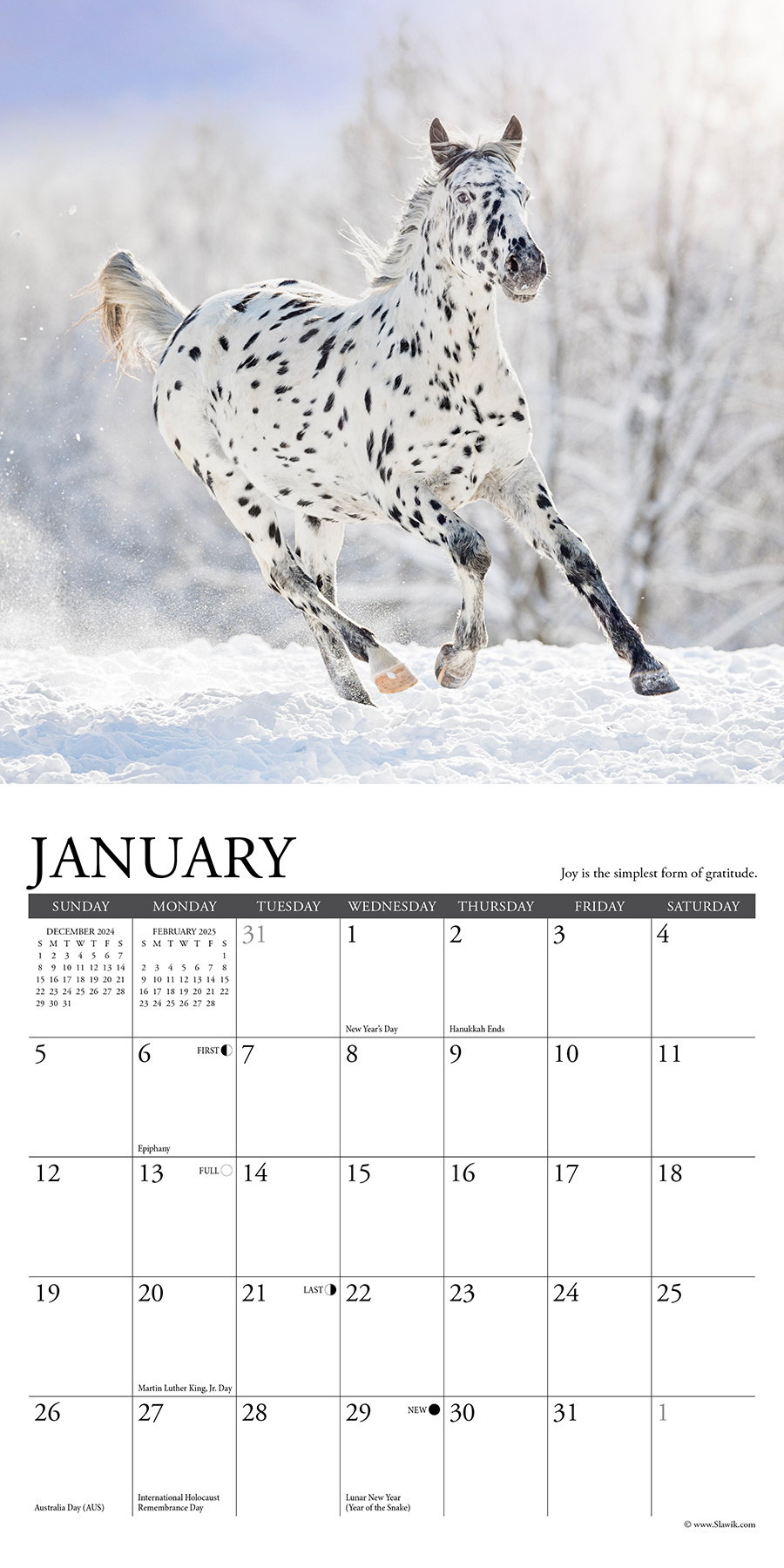 Buying What Horses Teach Us Calendar 2025 Mini? Simply order online