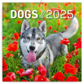 Presco Calendrier des chiens 2025