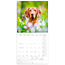 Dogs Kalender 2025