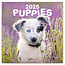 Presco Puppies Calendar 2025