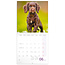 Puppies Kalender 2025