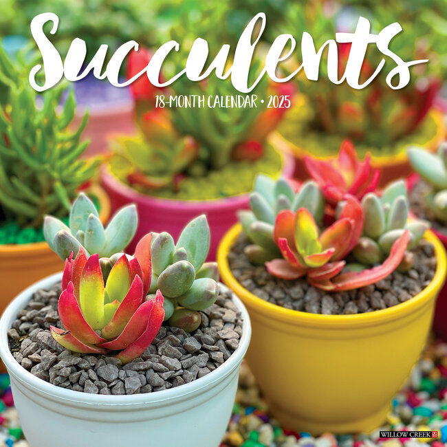 Calendario delle Succulente 2025