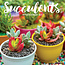 Succulents Calendar 2025