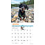 Crusoe der Dachshund Kalender 2025 Mini