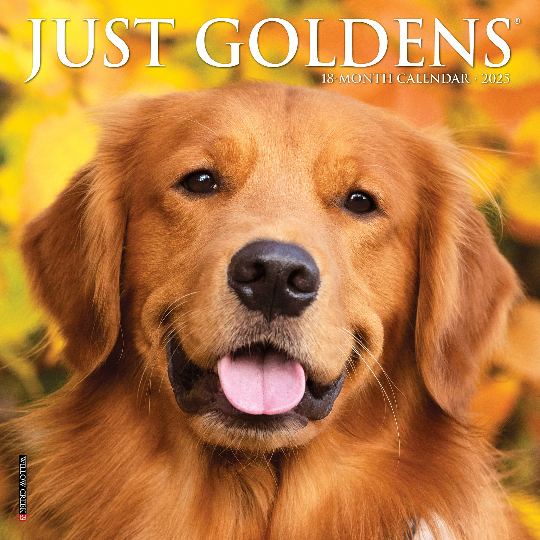 Buy Golden Retriever Mini Calendar 2025  Order online easily 