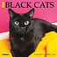 Willow Creek Black Cat Calendar 2025 Mini