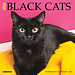 Willow Creek Calendario Gato Negro 2025 Mini