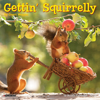 Willow Creek Calendario Gettin' Squirrelly 2025 Mini