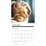 What Cats Teach Us Kalender 2025 Mini