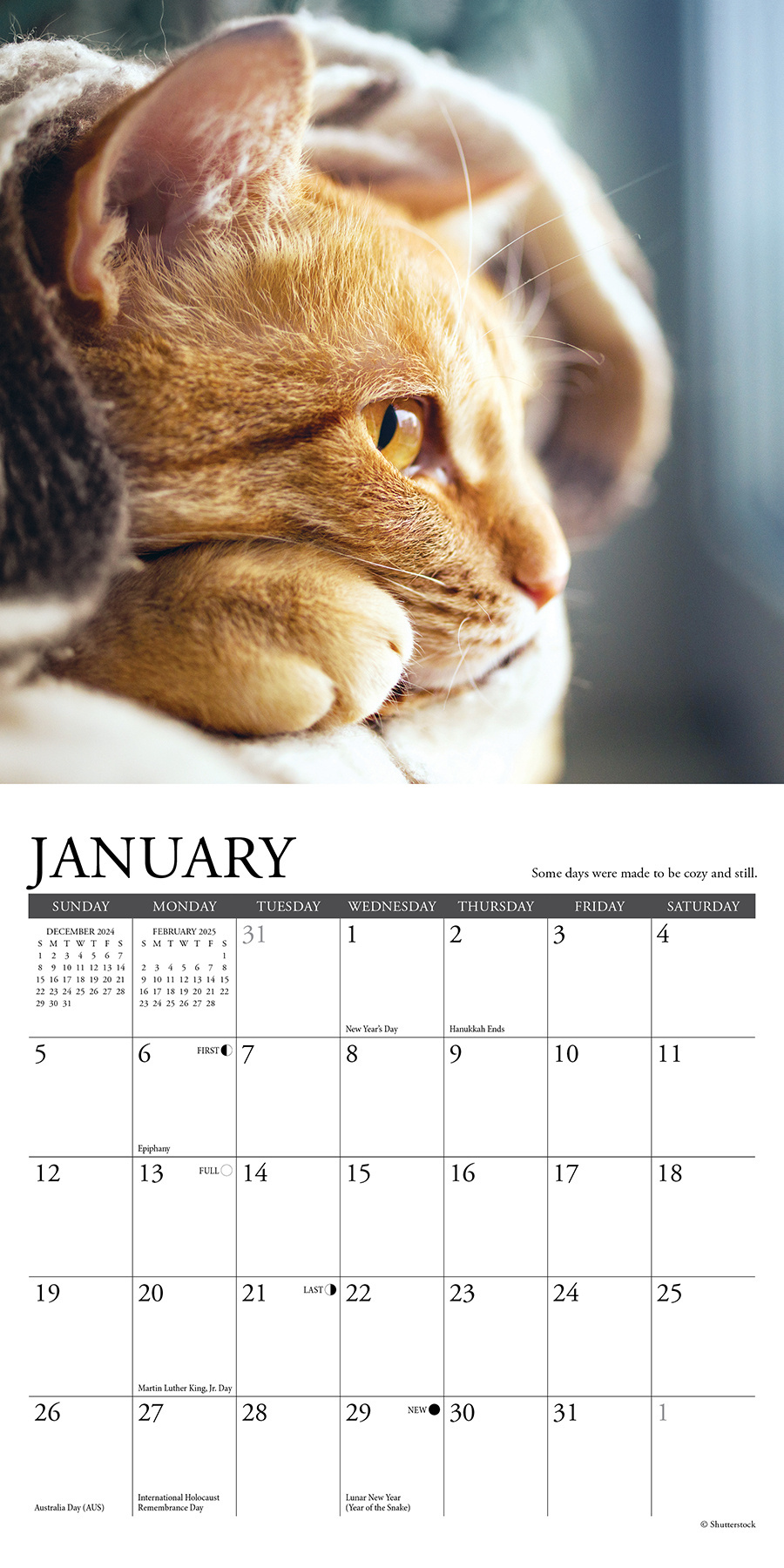 Comprar Lo que los gatos nos enseñan Calendario 2025 Mini? Pídelo fácilmente en línea