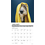 What Dogs Teach Us Calendar 2025 Mini